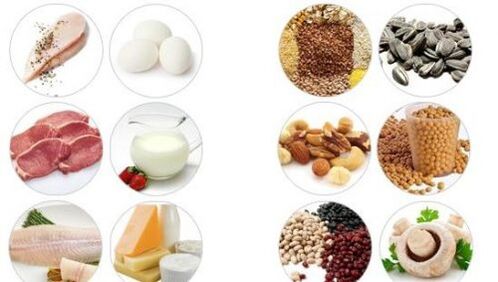 Foods rich in animal and vegetable protein for male potency