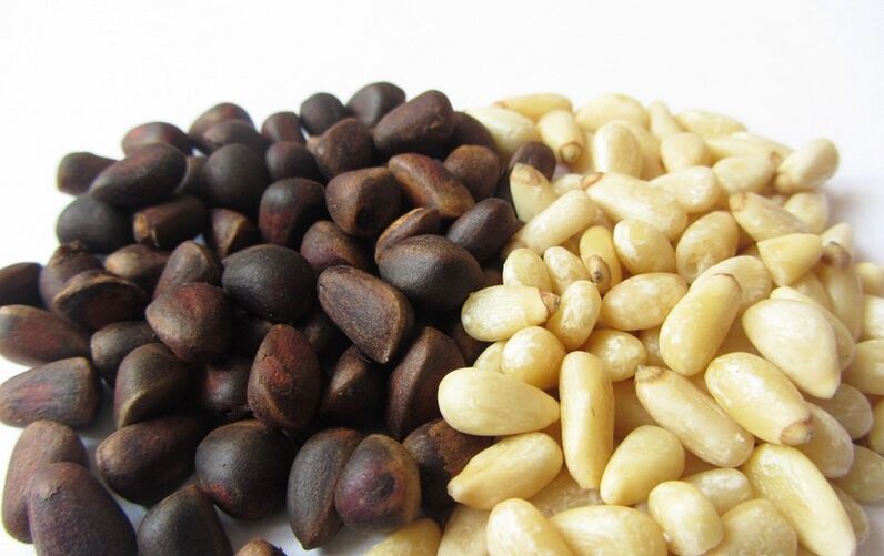 Pine nut in men's diet increases sperm activity